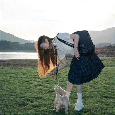 窈窕淑女